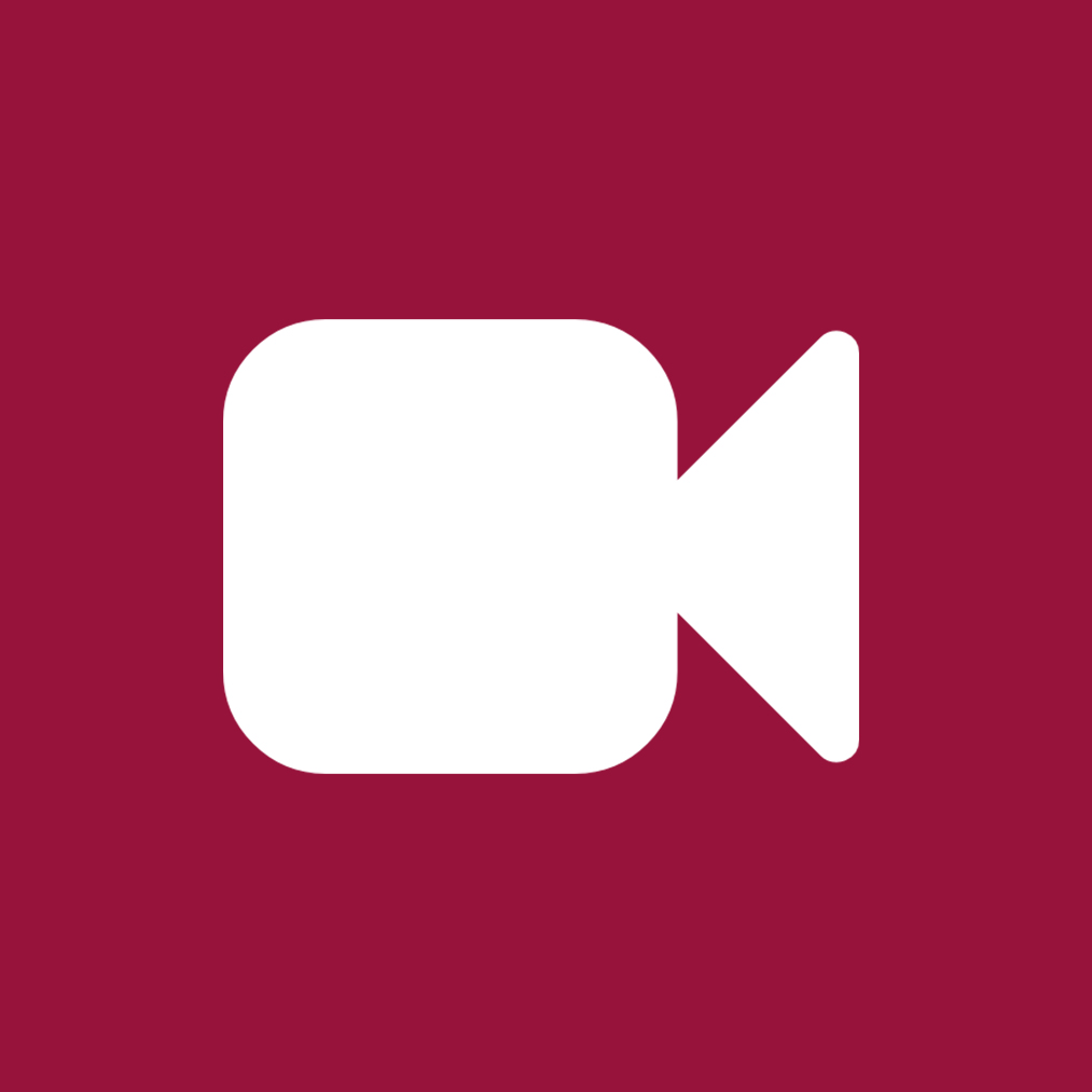 video-gallery-icon.jpg