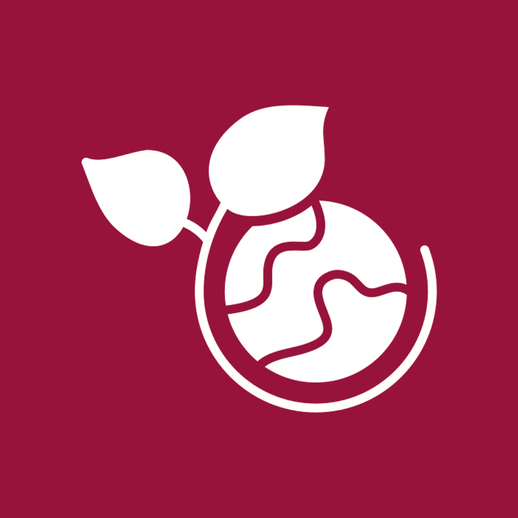 sustainability-efforts
